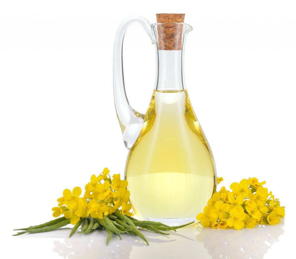 Rapeseed oil in decanter oilseed rape flowers and seeds isolated on white background. Canola oil.